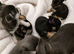 Tiny Pedigree Chihuahua Puppies