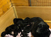 Working labs
