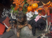 Yorkiepoo