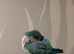 Looking for a new home for our Quaker Parrot Echo