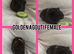 Beautiful crested baby guinea pigs