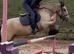 14.1 San Cler Buckskin Gelding - The type everyone wants