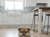 Russian pomeranian for sale