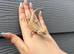 Bearded Dragons (Nipped tails) at Birmingham Reptiles