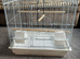 White bird cage