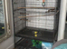 Here I have a x large bird cage