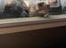 Beautiful Redfoot tortoises