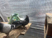 Hi everyone, I have a breeding pair of Turkish Tumbler pigeons for sale, along with one chick. They are healthy, well cared for, and great tumblers!