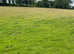 Holiday/injury rehab/retired grass livery available
