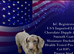 Miniature dachshund Puppy