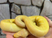 Albino Pin Royal Python at Birmingham Reptiles