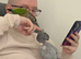 Young Conure