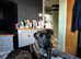 18mth old mastiff / rottweiler