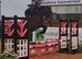 16.2hh 5 year old unsual skewbald gelding