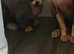 Ready Sphynx Kittens Looking for Their Forever