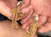 2 Crested Gecko Baby’s approx 10CM