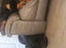 Lovely male rottweiler for sale