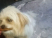 Lovely boy for sale