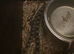 normal baby corn snake and setup