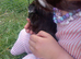 Guinea pigs looking for a home
