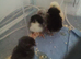 Copper maran chicks