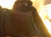 6 month old green cheek conure