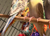 Young Indoor-Raised Budgies perfect pets Cheshire
