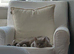 Lilac exotic British shorthair