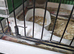 5 pairs diamond doves