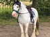 Ride and drive mare