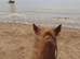 17hh Section D