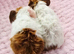2 Sow Pairs ready 24/10/26