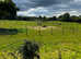 Full Livery Space Available