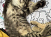 Beautiful long haired kittens 