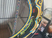 Beautiful wagon cage