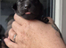 KC registered Labrador puppies