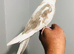 Beautiful baby hand tamed & untamed cockatiels for sale.