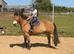 Stop look and appreciate!! what a horse!!