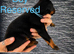2 female Doberman puppies left