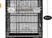 Bird Cage XL