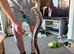 Full setup for sale big adult female