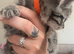 2 beautiful grey striped kittens