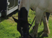 Part loan to stay on current yard