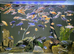 Cichlids available! 2 inch