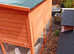 Large hutch and run