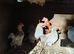 Pekin bantam cockrells