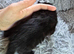 Last one left READY NOW 3 chunky kittens