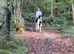 Coloured mare all rounder quality hacking