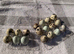 Quail hatching eggs!