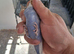 Budgies